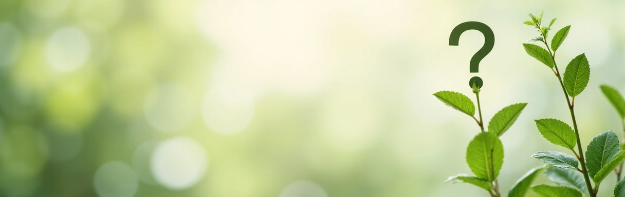 Abstract background with subtle question marks symbolizing clarity and answers